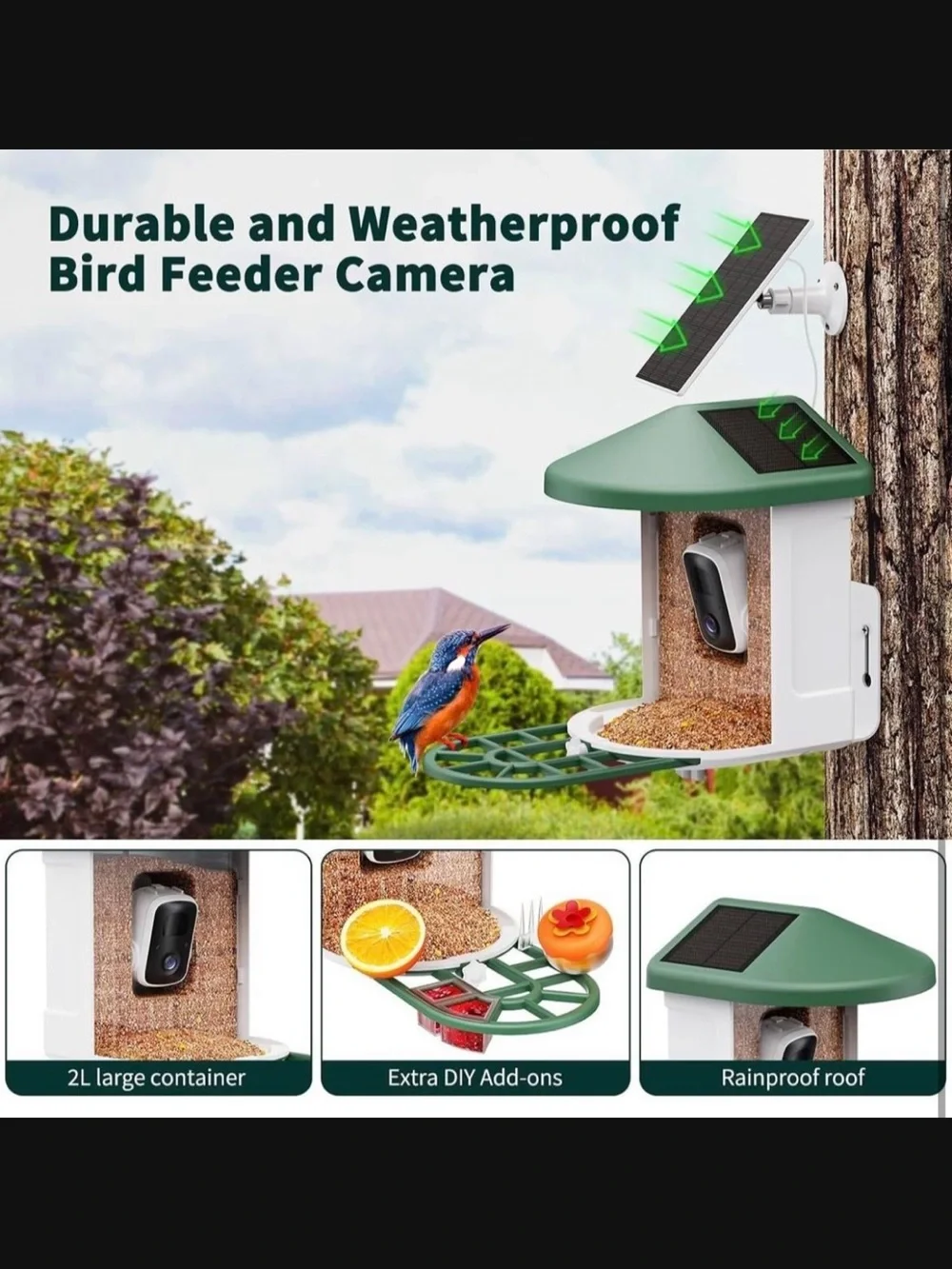 Haymor Green Solar Bird Feeder with Camera New In Box #M2859